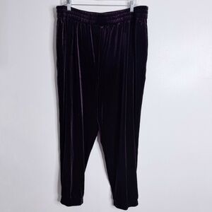 NWT Stitch Fix Skies Are Blue Curvy Purple Velvet Pull On Jogger w/ Pockets 2X‎